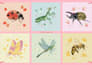 illustrate cute silly insects